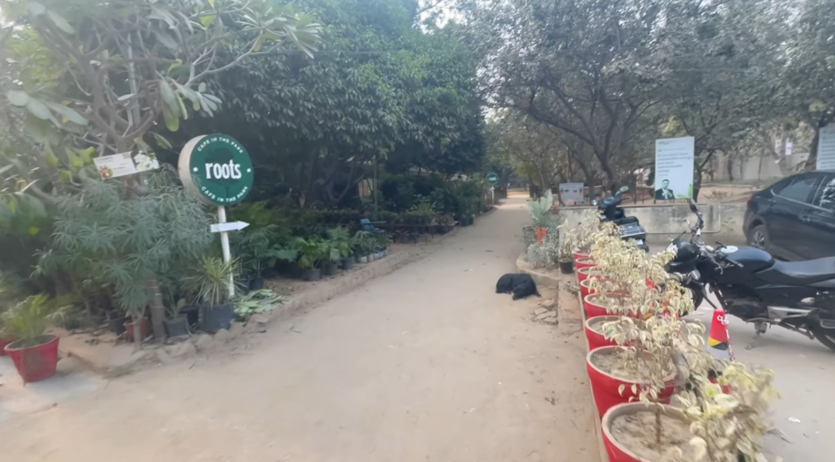 Plant-lined walkway and Roots Cafe sign leading through the park in Gurgaon