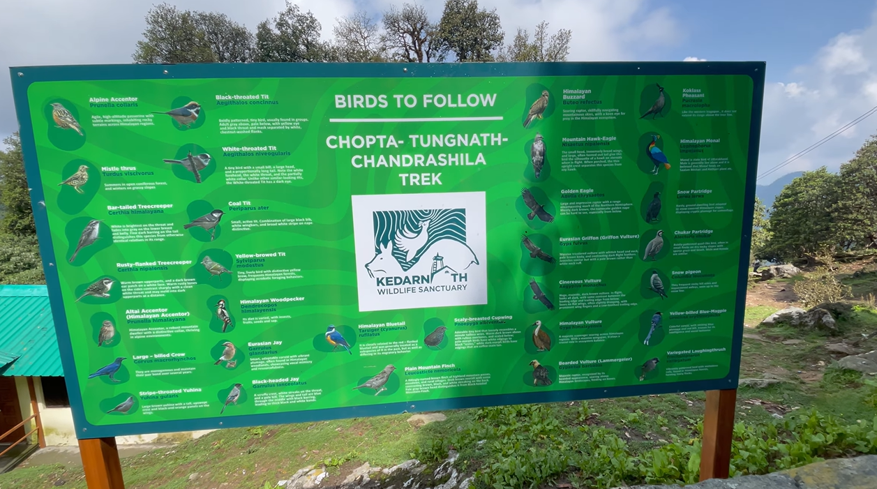 Bird information board for the Chopta Tungnath Chandrashila route