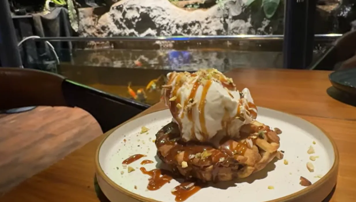 Ice cream dessert with sauce and chopped nuts served at Mongabay Gurgaon