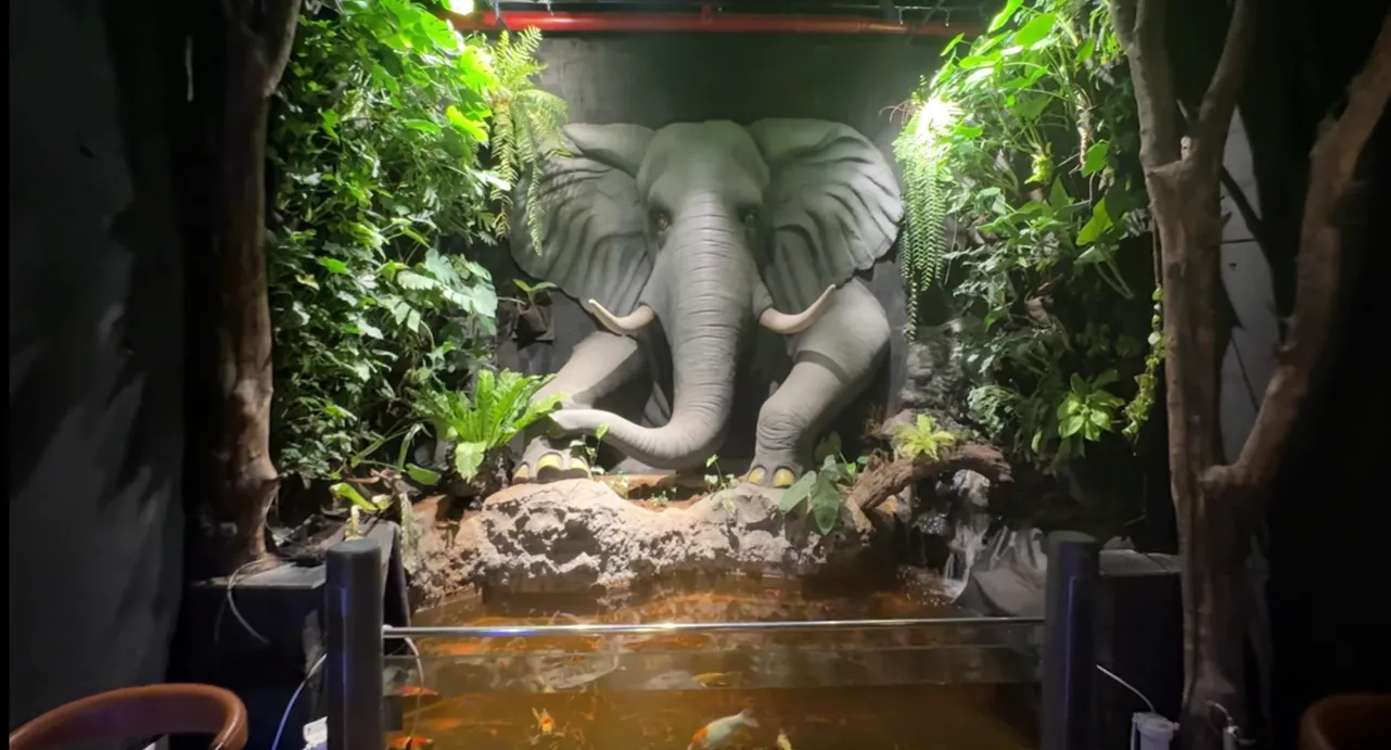 Mongabay Gurgaon Review: 7 Honest Notes Before You Go