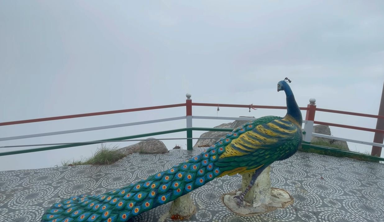 Painted peacock sculpture on the foggy temple ridge