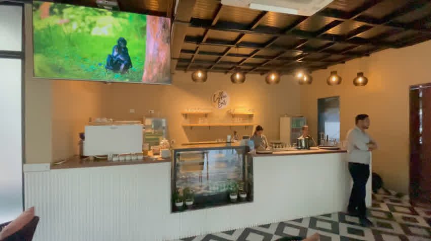 Cafe counter with coffee machine and display case inside The Sunroom