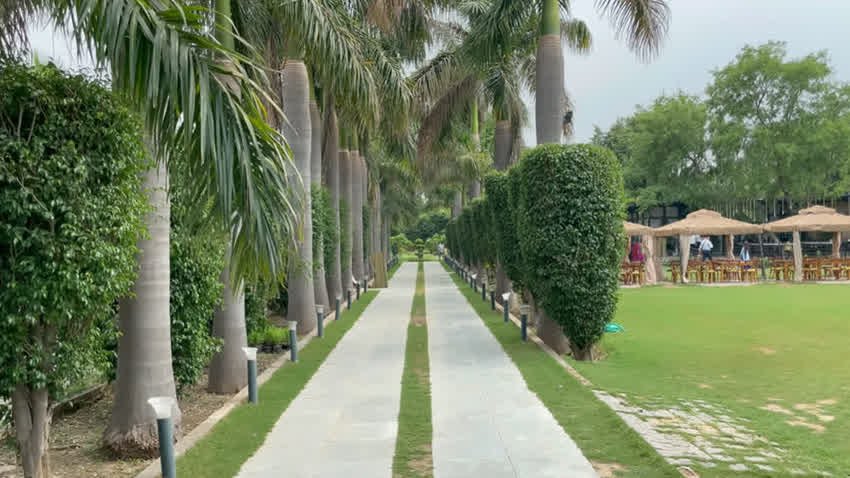 Palm-lined walkway beside the lawn and outdoor seating at The Sunroom
