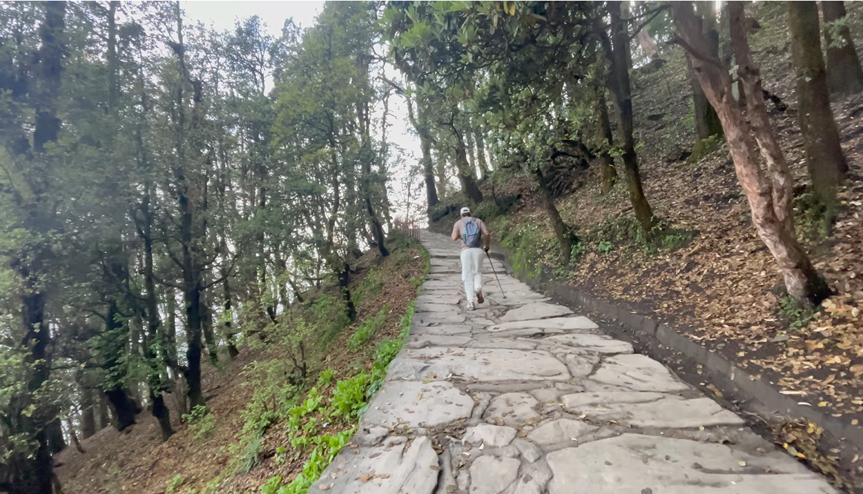 Walker on the broad stone-paved path through trees on the Tungnath trek